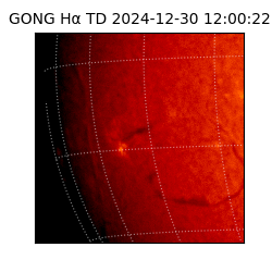 gong - 2024-12-30T12:00:22