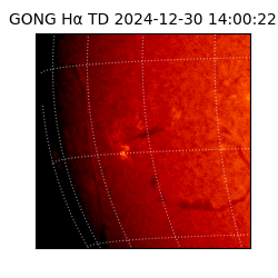 gong - 2024-12-30T14:00:22