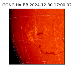 gong - 2024-12-30T17:00:02