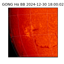 gong - 2024-12-30T18:00:02