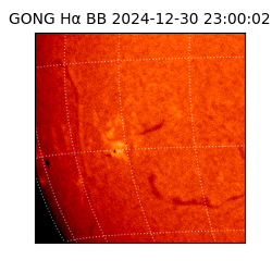 gong - 2024-12-30T23:00:02