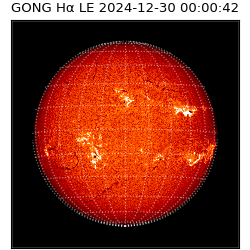 gong - 2024-12-30T00:00:42