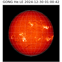 gong - 2024-12-30T01:00:42