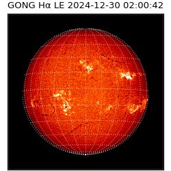 gong - 2024-12-30T02:00:42