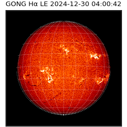 gong - 2024-12-30T04:00:42