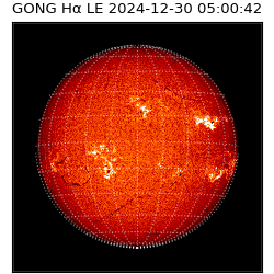 gong - 2024-12-30T05:00:42
