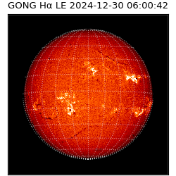 gong - 2024-12-30T06:00:42