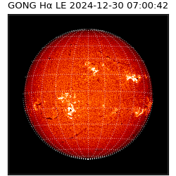 gong - 2024-12-30T07:00:42