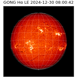 gong - 2024-12-30T08:00:42