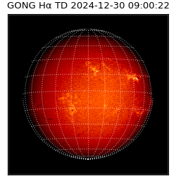 gong - 2024-12-30T09:00:22
