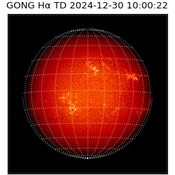 gong - 2024-12-30T10:00:22