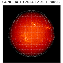 gong - 2024-12-30T11:00:22