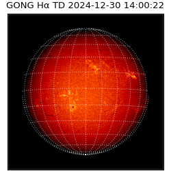 gong - 2024-12-30T14:00:22