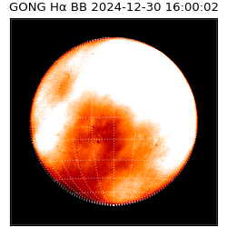 gong - 2024-12-30T16:00:02