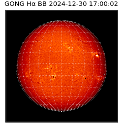 gong - 2024-12-30T17:00:02