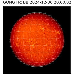 gong - 2024-12-30T20:00:02