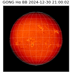 gong - 2024-12-30T21:00:02