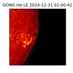 gong - 2024-12-31T01:00:42