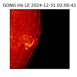 gong - 2024-12-31T02:00:42