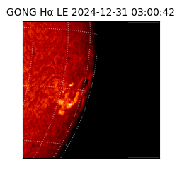gong - 2024-12-31T03:00:42