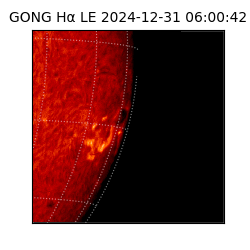 gong - 2024-12-31T06:00:42