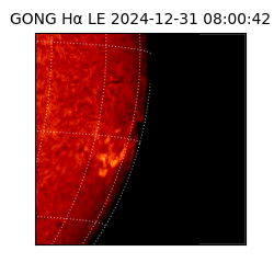 gong - 2024-12-31T08:00:42