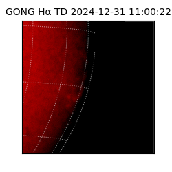 gong - 2024-12-31T11:00:22