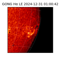 gong - 2024-12-31T01:00:42