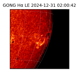 gong - 2024-12-31T02:00:42