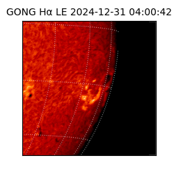 gong - 2024-12-31T04:00:42