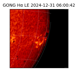 gong - 2024-12-31T06:00:42