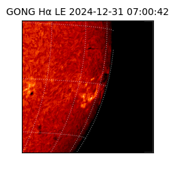 gong - 2024-12-31T07:00:42
