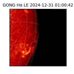gong - 2024-12-31T01:00:42
