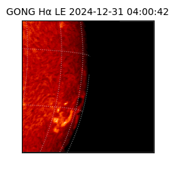 gong - 2024-12-31T04:00:42