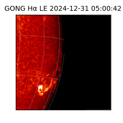 gong - 2024-12-31T05:00:42