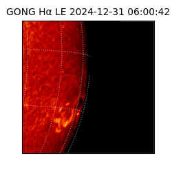 gong - 2024-12-31T06:00:42