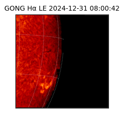 gong - 2024-12-31T08:00:42