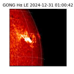 gong - 2024-12-31T01:00:42