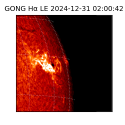 gong - 2024-12-31T02:00:42