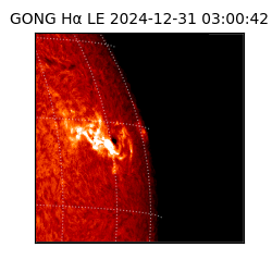 gong - 2024-12-31T03:00:42