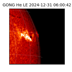 gong - 2024-12-31T06:00:42