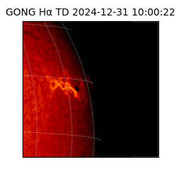 gong - 2024-12-31T10:00:22