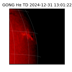 gong - 2024-12-31T13:01:22