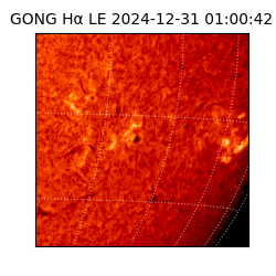 gong - 2024-12-31T01:00:42