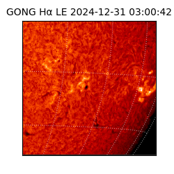 gong - 2024-12-31T03:00:42