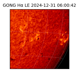 gong - 2024-12-31T06:00:42