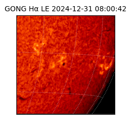 gong - 2024-12-31T08:00:42