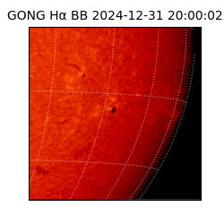 gong - 2024-12-31T20:00:02