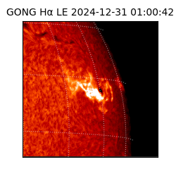 gong - 2024-12-31T01:00:42