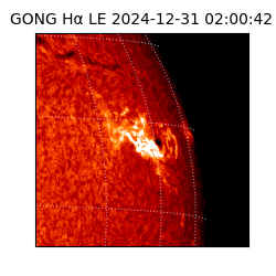 gong - 2024-12-31T02:00:42